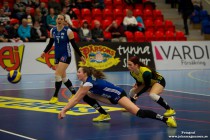 EVS Volleyboll
